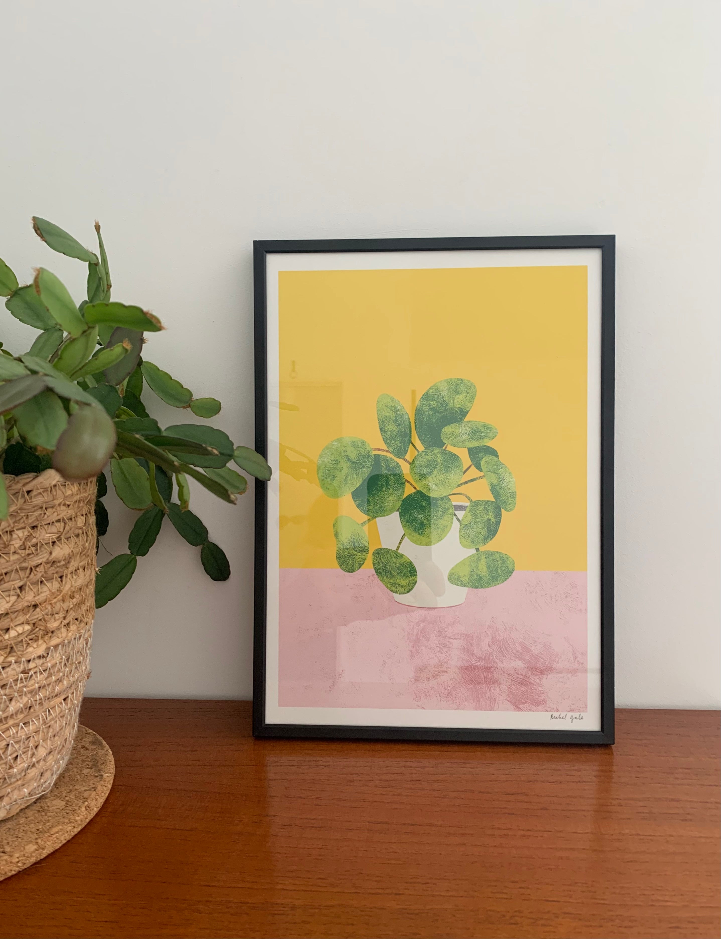 Pilea, Monstera, Mother’s Tongue Art Prints - NEW - The Plant Collection - eco-friendly A4, unframed