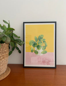 Pilea, Monstera, Mother’s Tongue Art Prints - NEW - The Plant Collection - eco-friendly A4, unframed