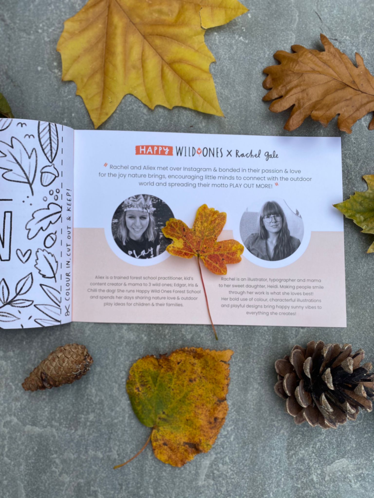Autumn Things Activity Journal