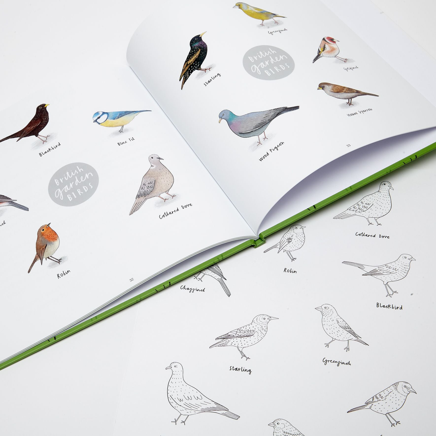 Billy the Blackbird - Children's Book written by Jennifer Doyle