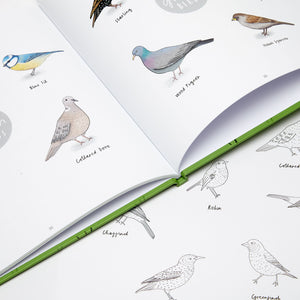 Billy the Blackbird - Children's Book written by Jennifer Doyle