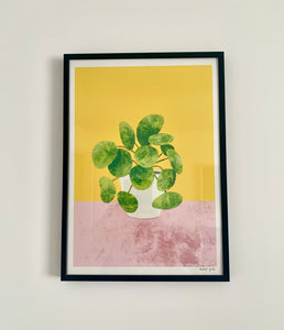 Pilea, Monstera, Mother’s Tongue Art Prints - NEW - The Plant Collection - eco-friendly A4, unframed