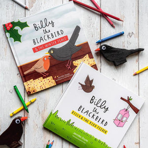 Billy the Blackbird - Children's Book written by Jennifer Doyle