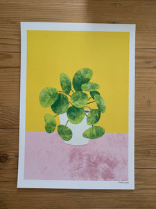Pilea, Monstera, Mother’s Tongue Art Prints - NEW - The Plant Collection - eco-friendly A4, unframed