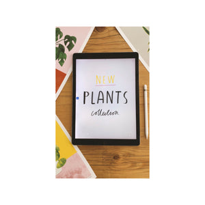 Pilea, Monstera, Mother’s Tongue Art Prints - NEW - The Plant Collection - eco-friendly A4, unframed