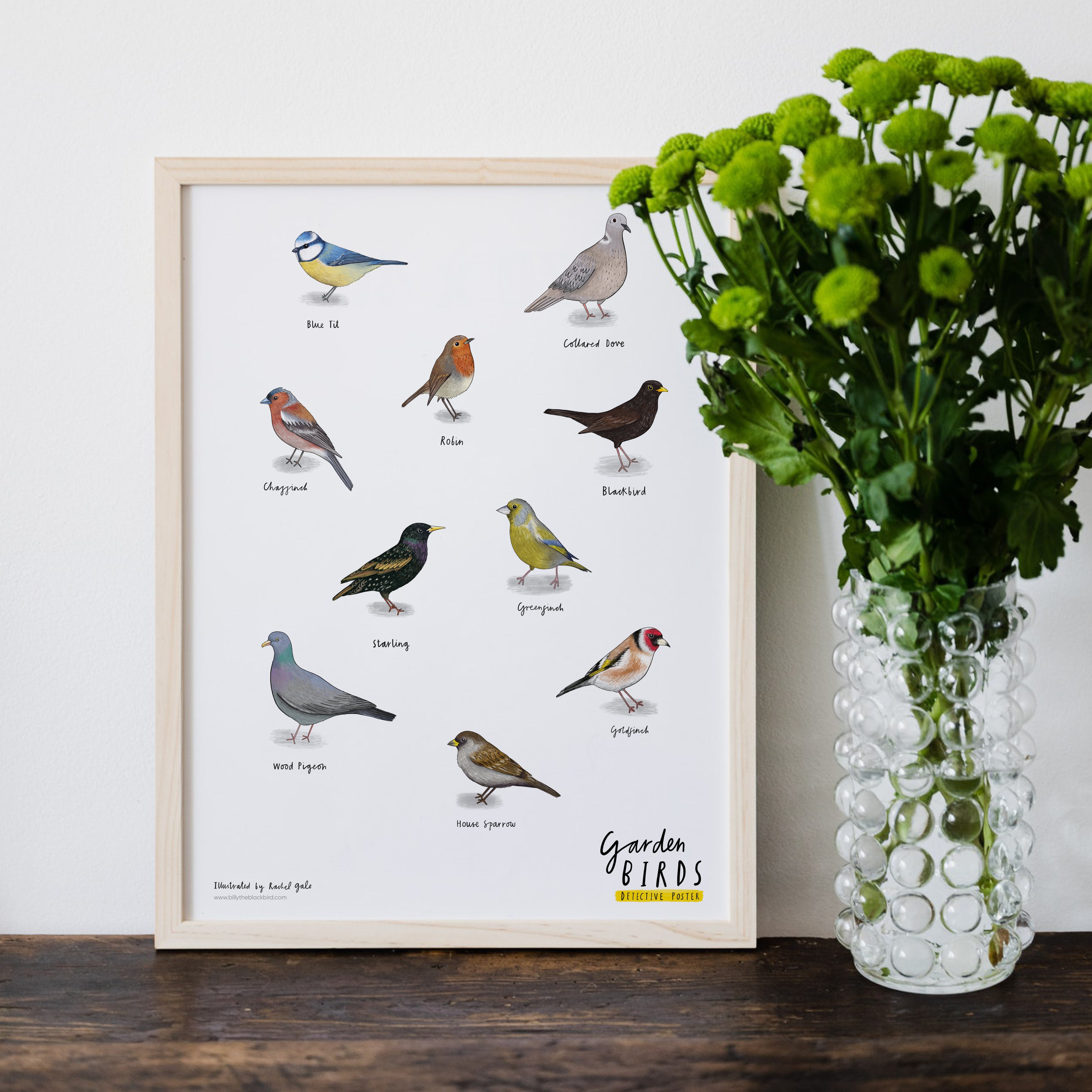 British Garden Bird Detective Poster - A3, unframed