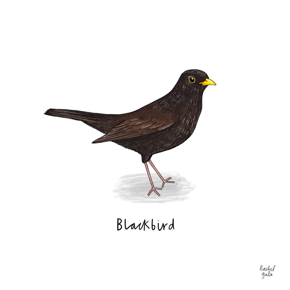 British Garden Bird Detective Poster - A3, unframed