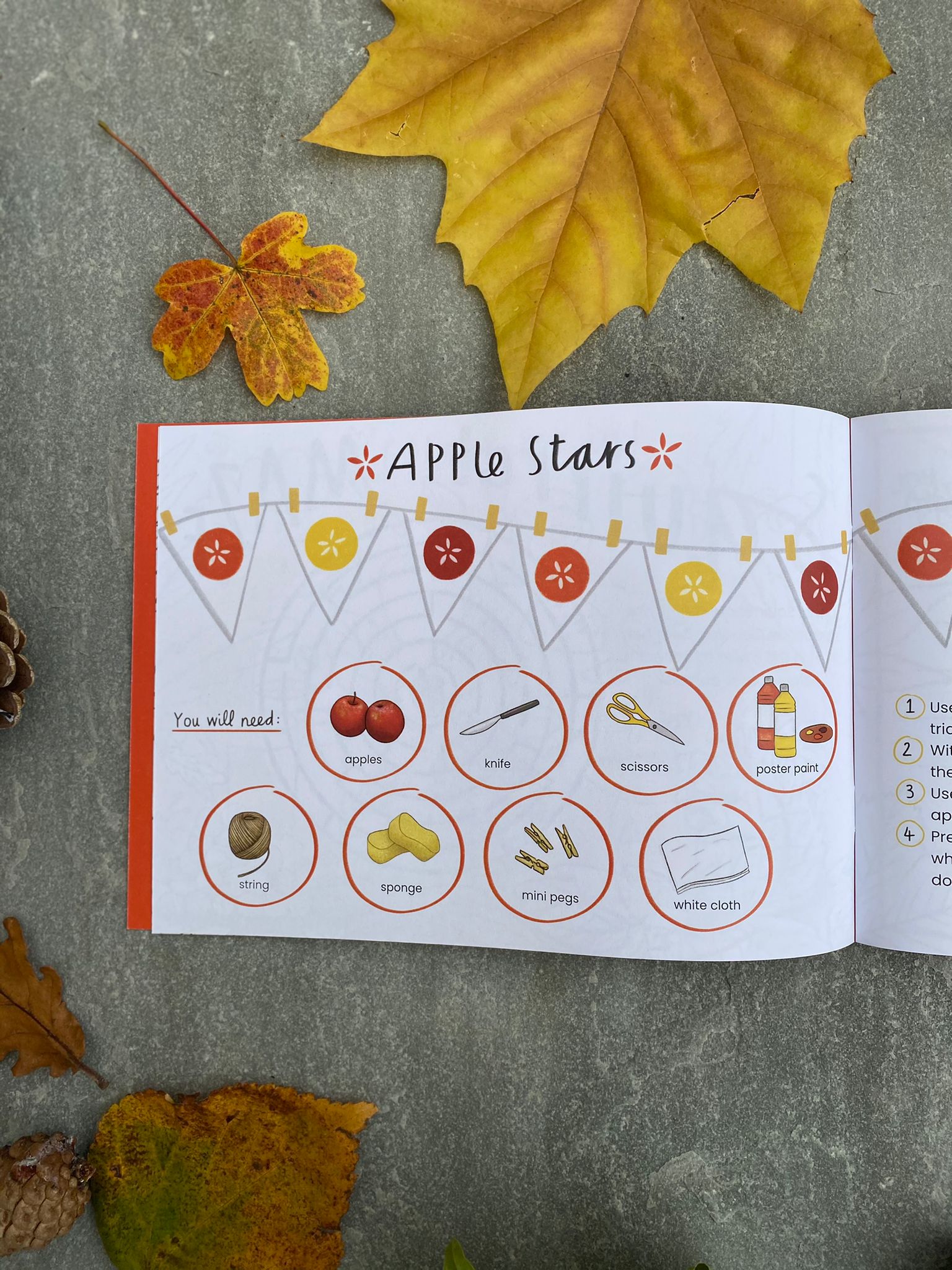Autumn Things Activity Journal