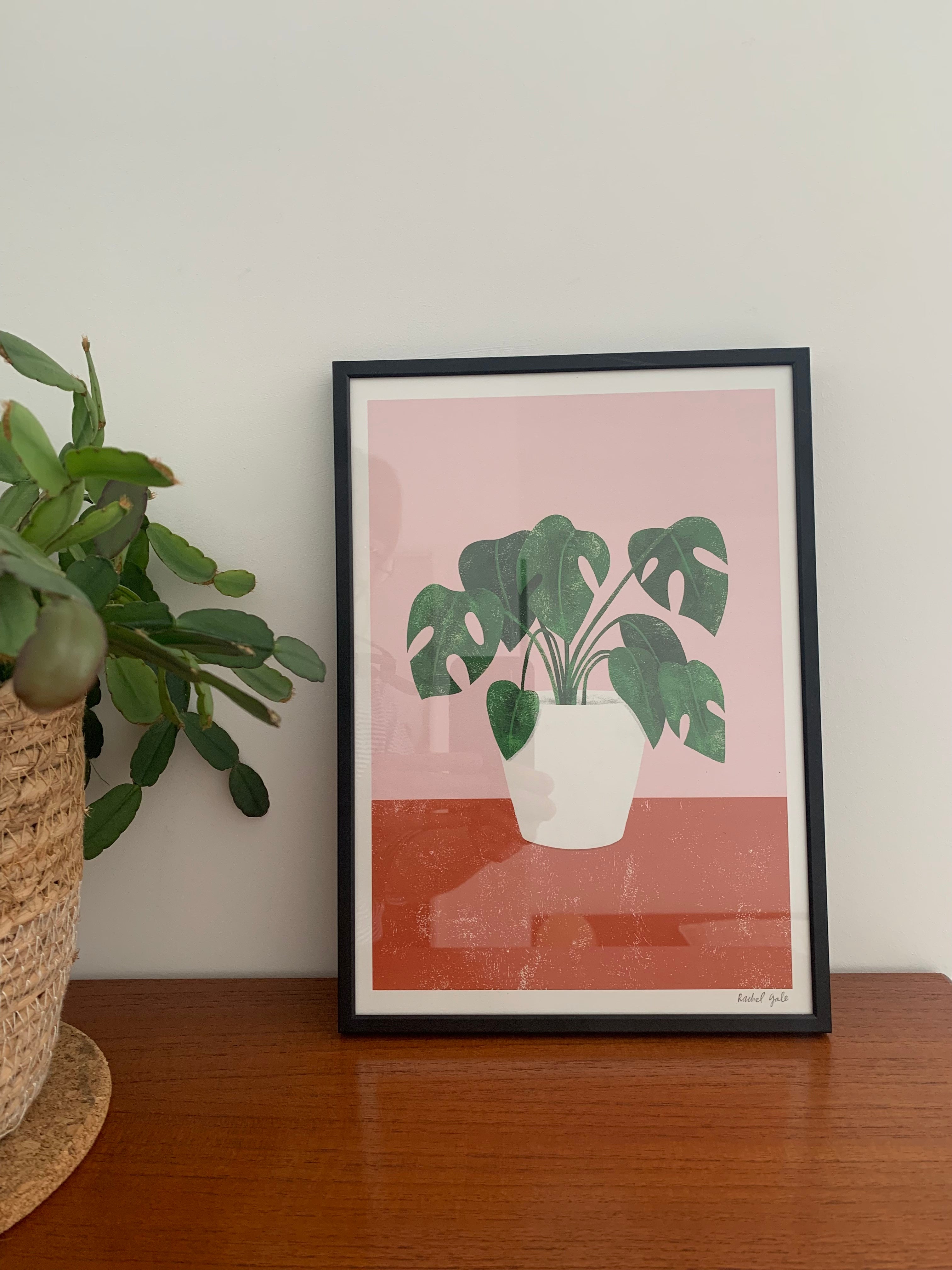 Pilea, Monstera, Mother’s Tongue Art Prints - NEW - The Plant Collection - eco-friendly A4, unframed