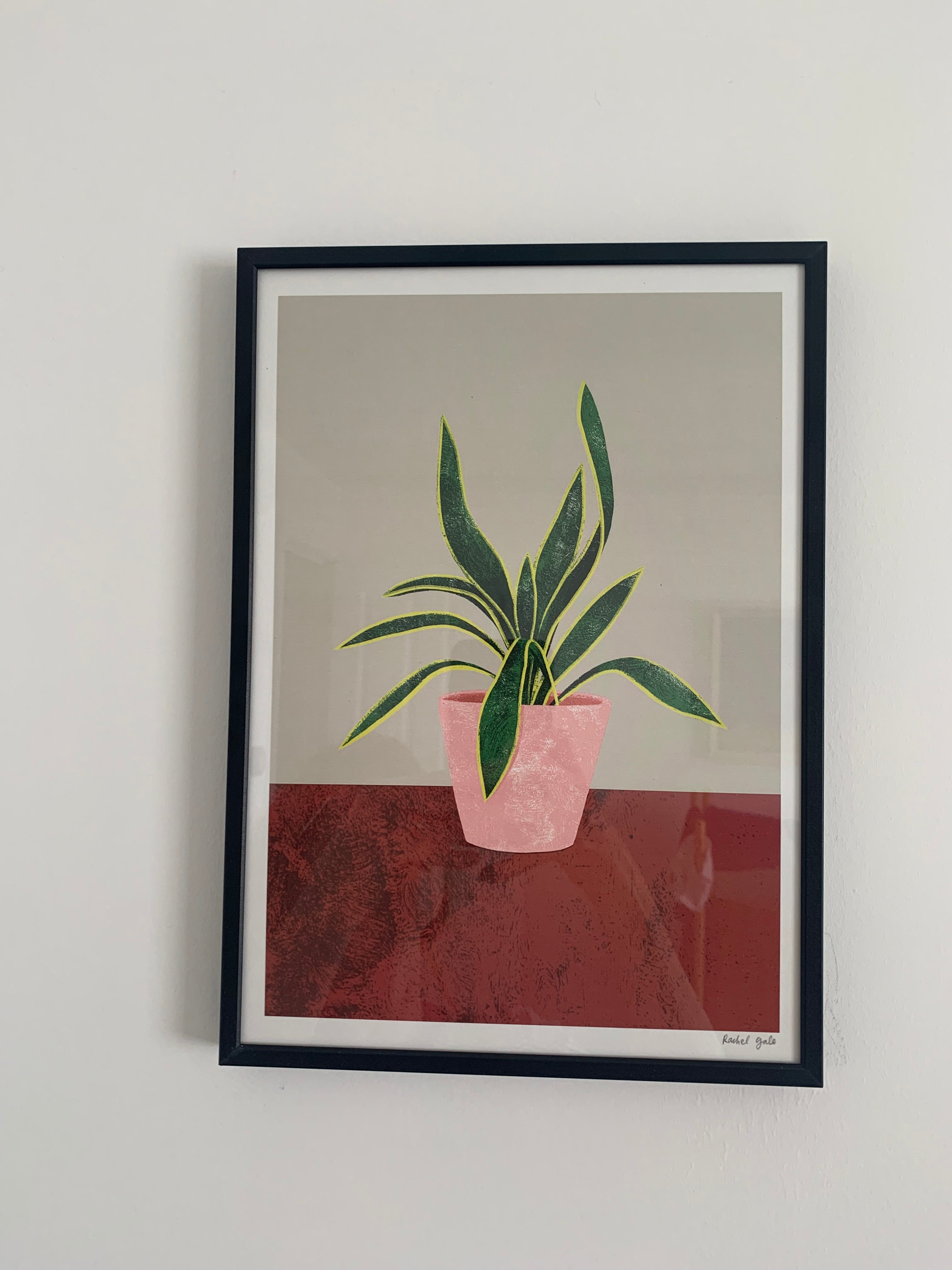 Pilea, Monstera, Mother’s Tongue Art Prints - NEW - The Plant Collection - eco-friendly A4, unframed