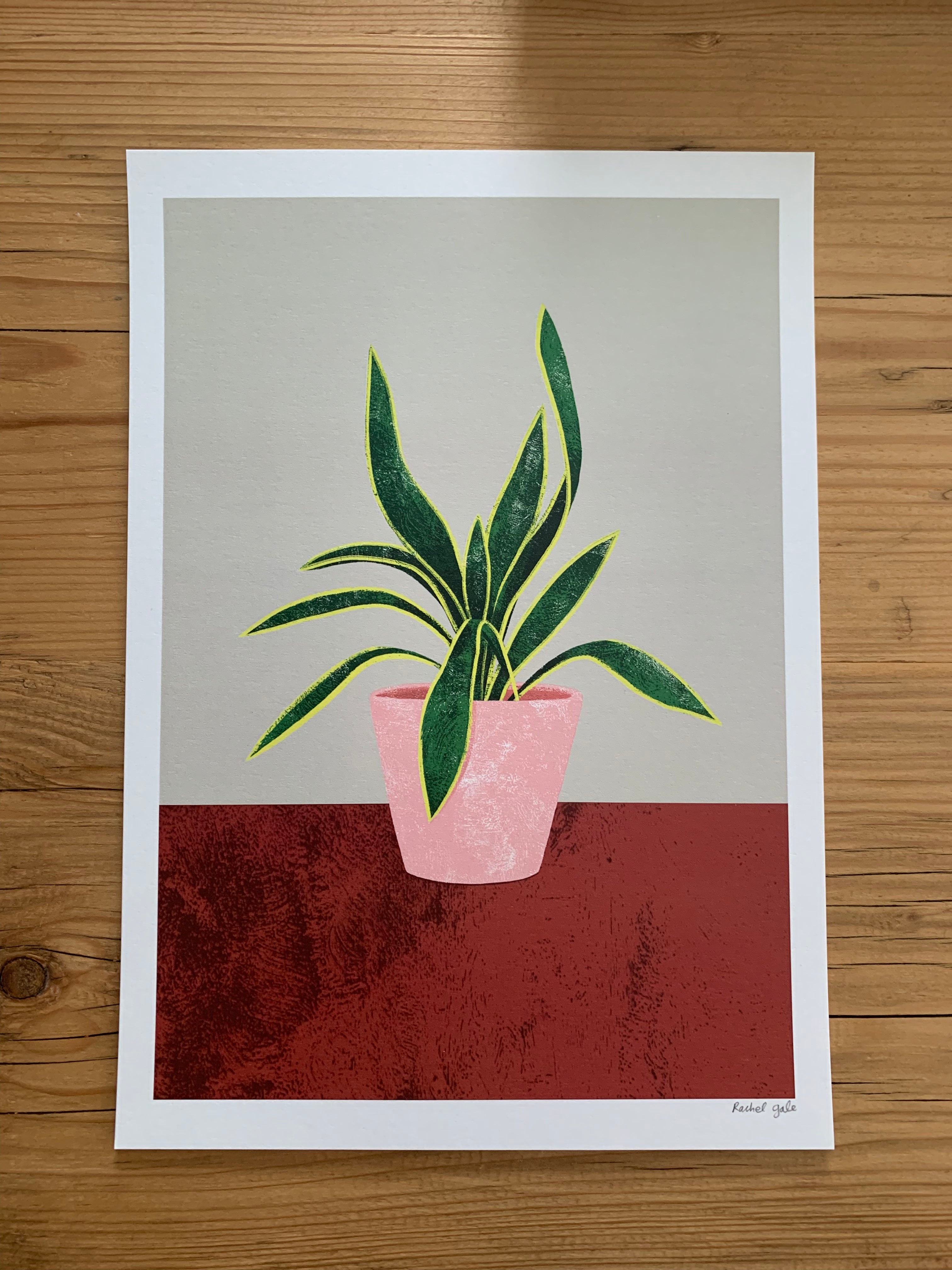 Pilea, Monstera, Mother’s Tongue Art Prints - NEW - The Plant Collection - eco-friendly A4, unframed