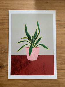 Pilea, Monstera, Mother’s Tongue Art Prints - NEW - The Plant Collection - eco-friendly A4, unframed