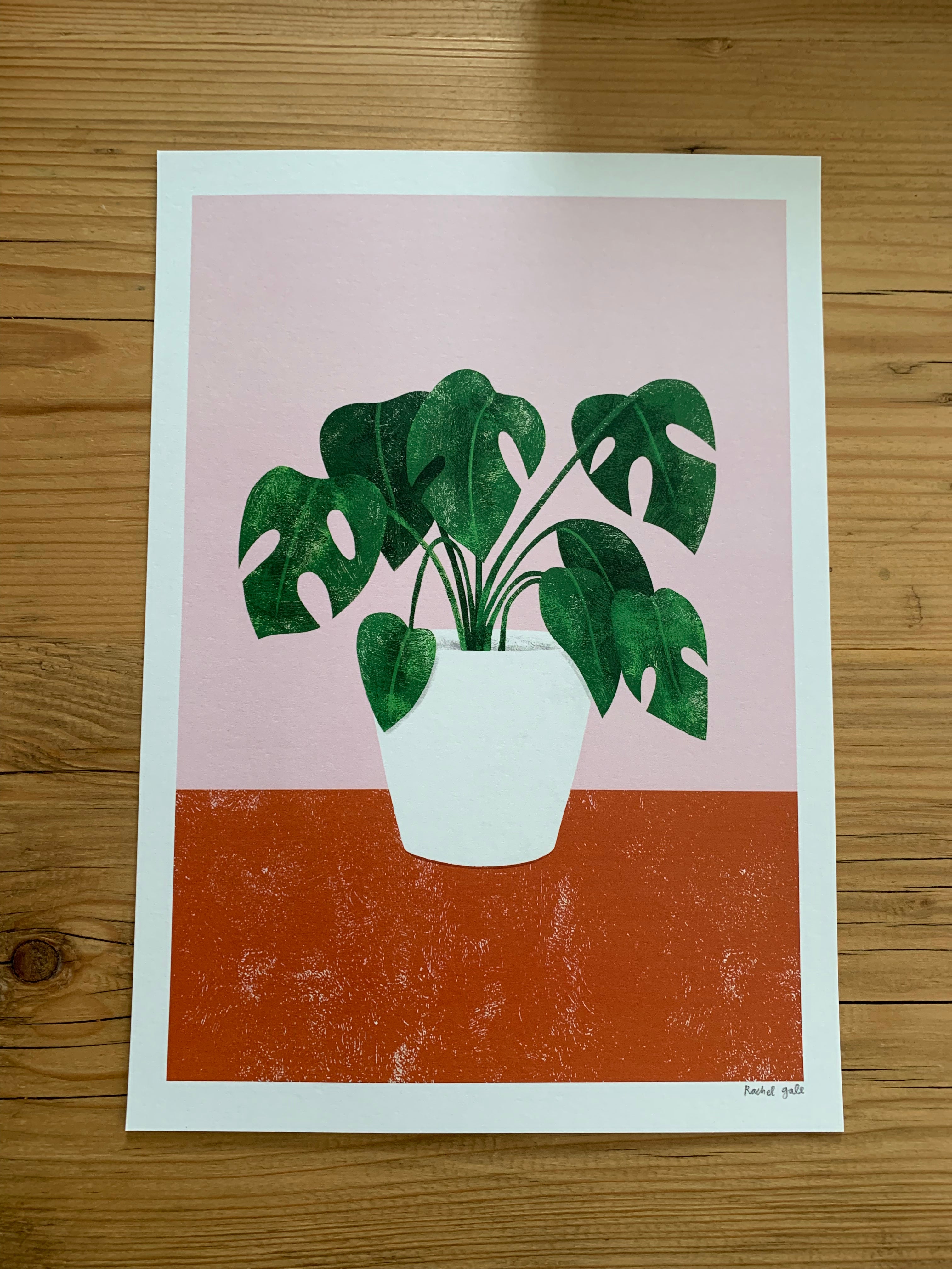 Pilea, Monstera, Mother’s Tongue Art Prints - NEW - The Plant Collection - eco-friendly A4, unframed