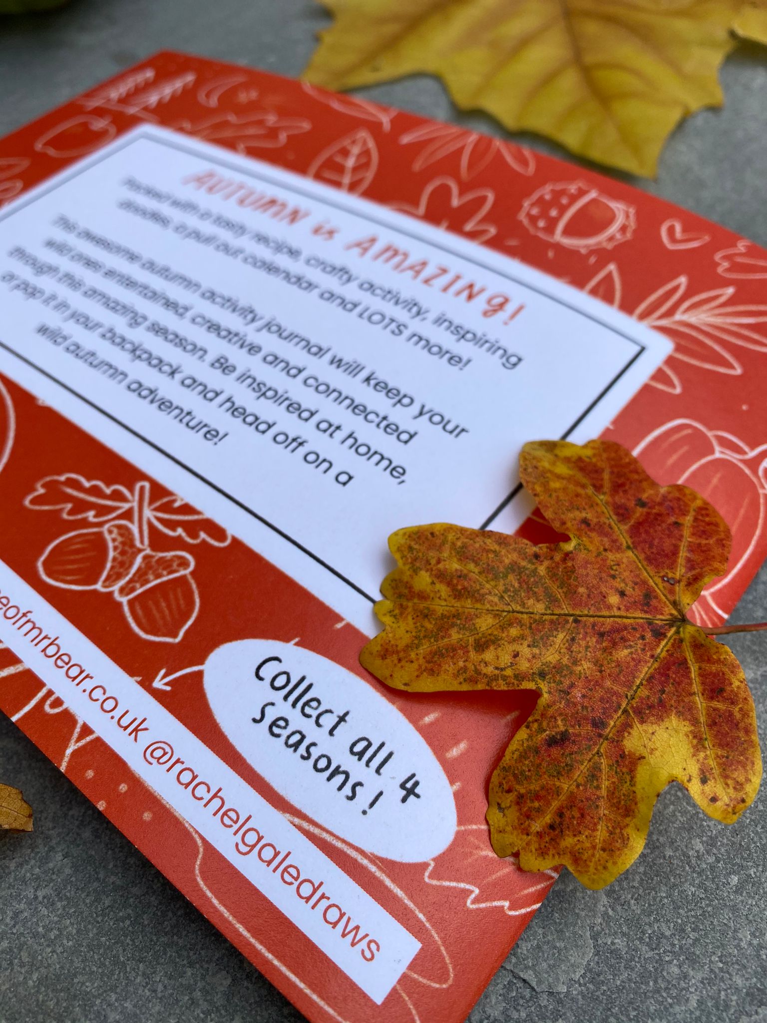 Autumn Things Activity Journal