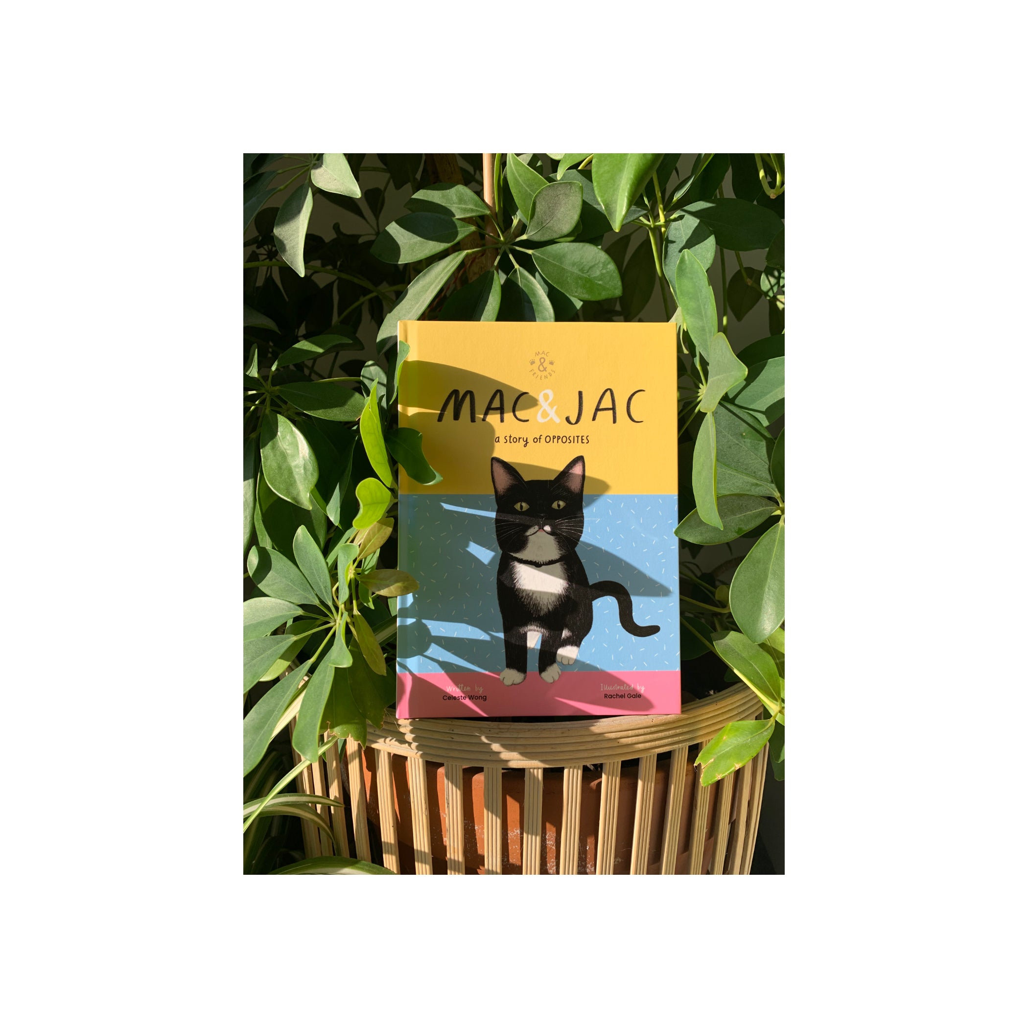 Mac & Jac - A Story of Opposites - NEW! Hard cover, 100% planet-friendly materials