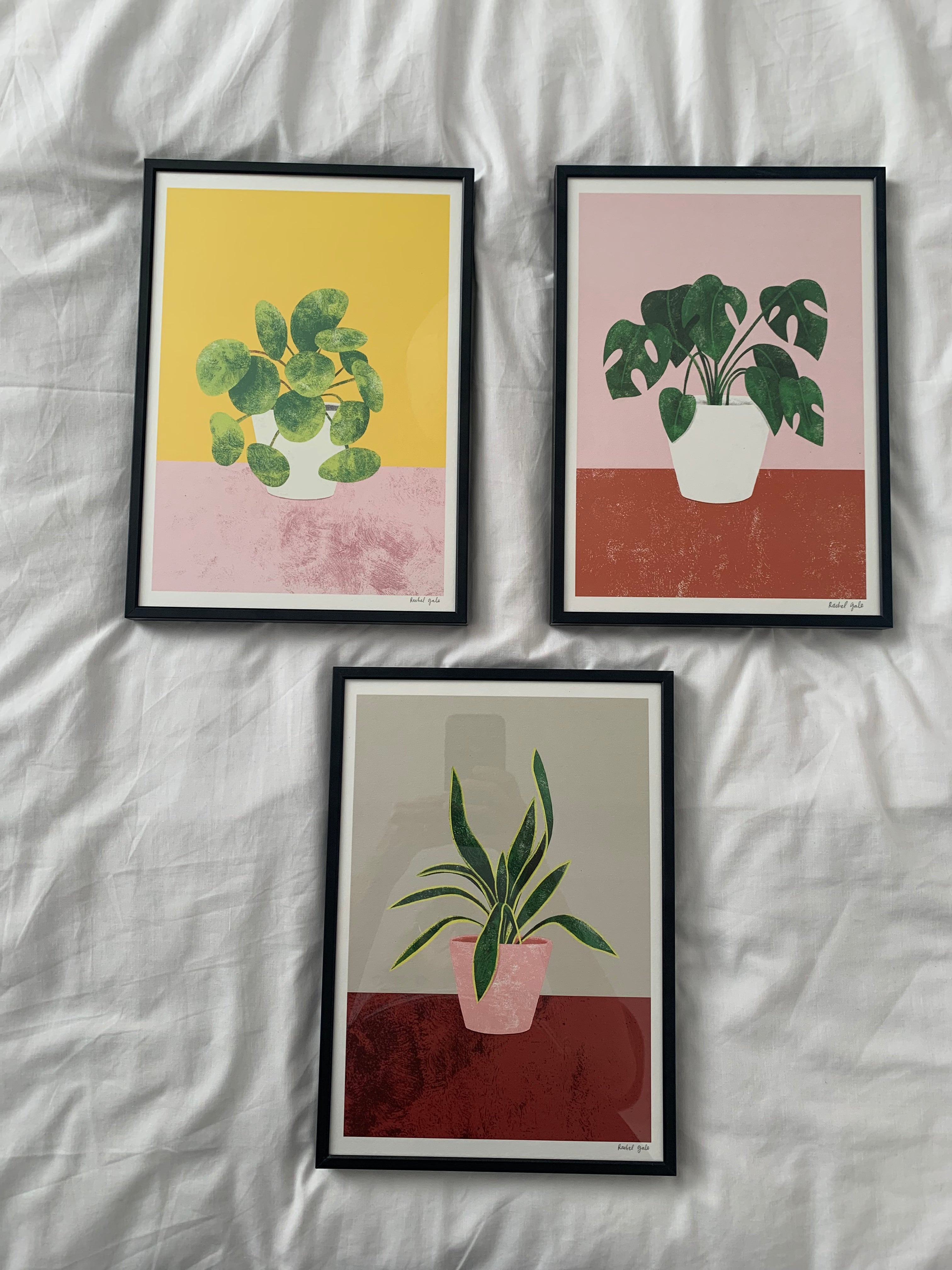 Pilea, Monstera, Mother’s Tongue Art Prints - NEW - The Plant Collection - eco-friendly A4, unframed