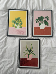 Pilea, Monstera, Mother’s Tongue Art Prints - NEW - The Plant Collection - eco-friendly A4, unframed