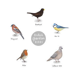 British Garden Bird Detective Poster - A3, unframed